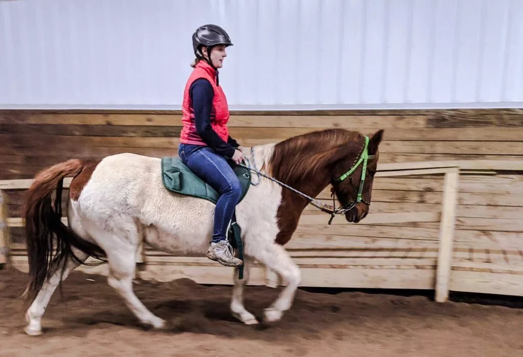 woman riding a brown and white horse